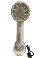 Mini Fan